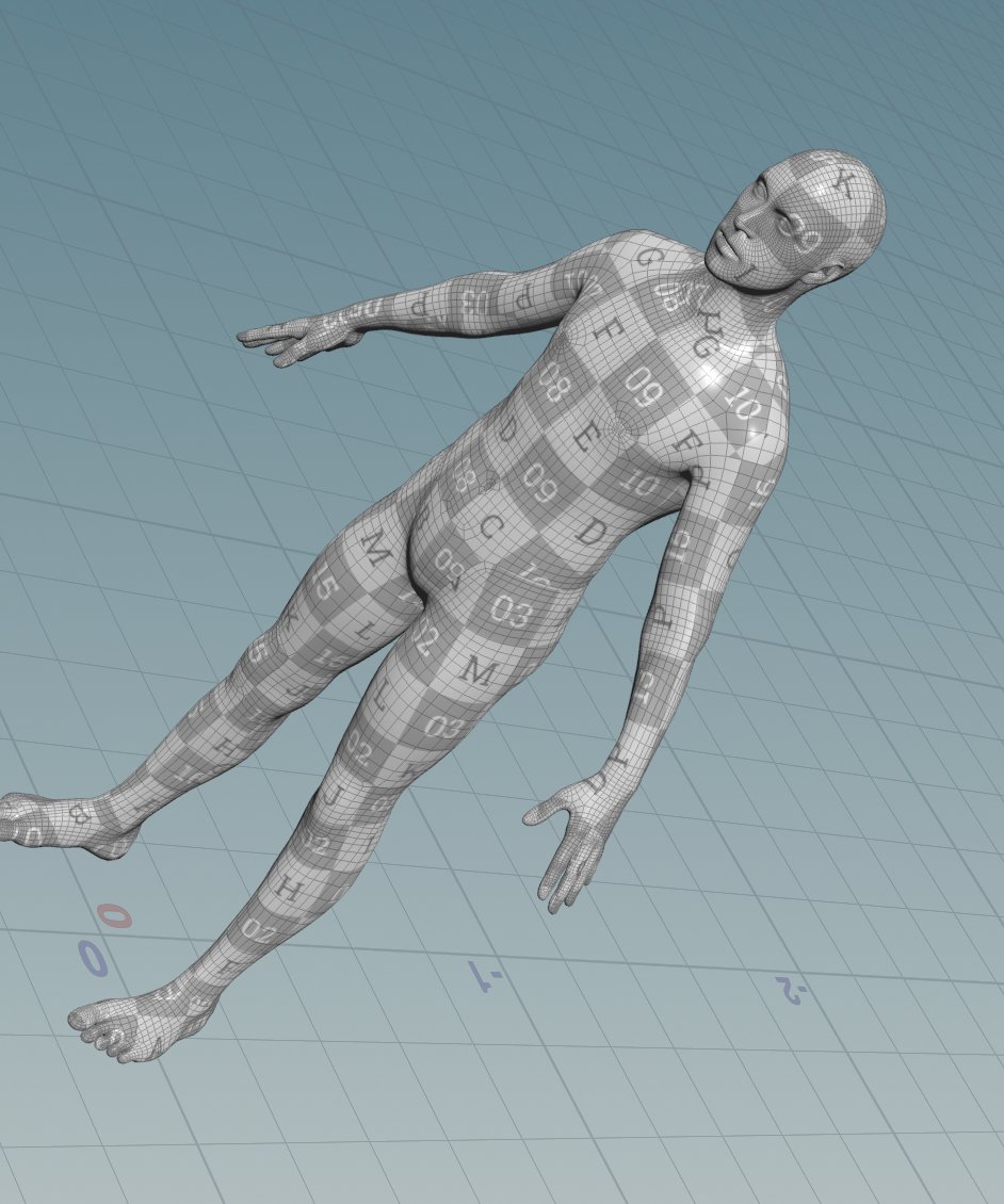 20-shape OOD failure — tunnel input retrieves a humanoid training shape