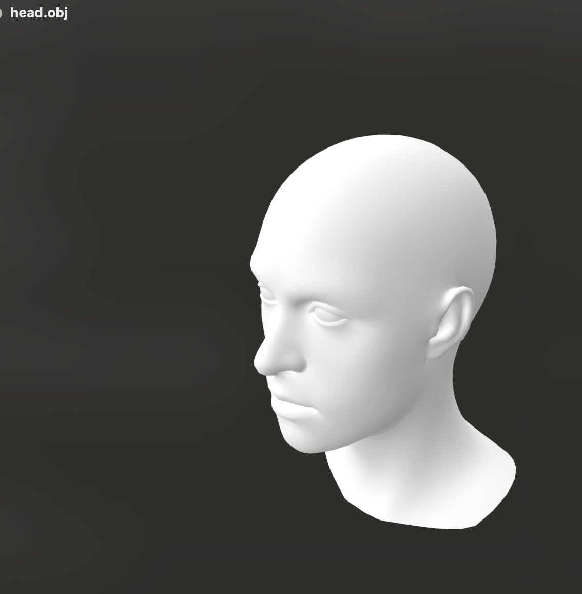 OOD input — head-and-shoulders bust