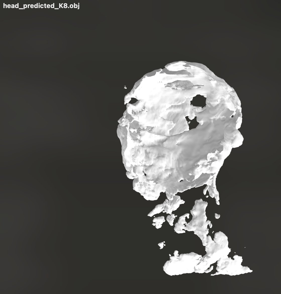 OOD output — rough head mesh