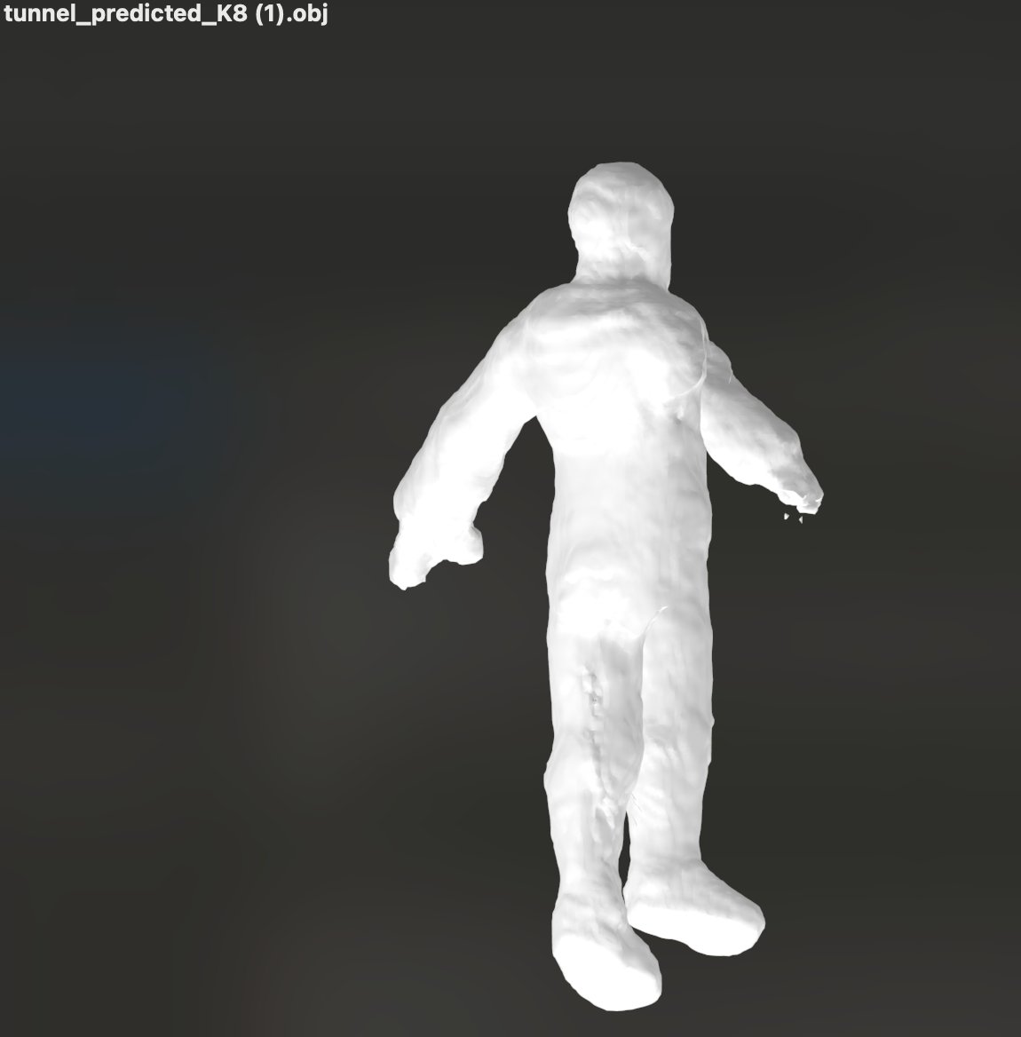 OOD output — rough humanoid mesh